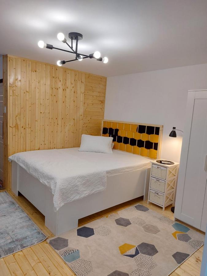 Studio 22 Craiova Extérieur photo